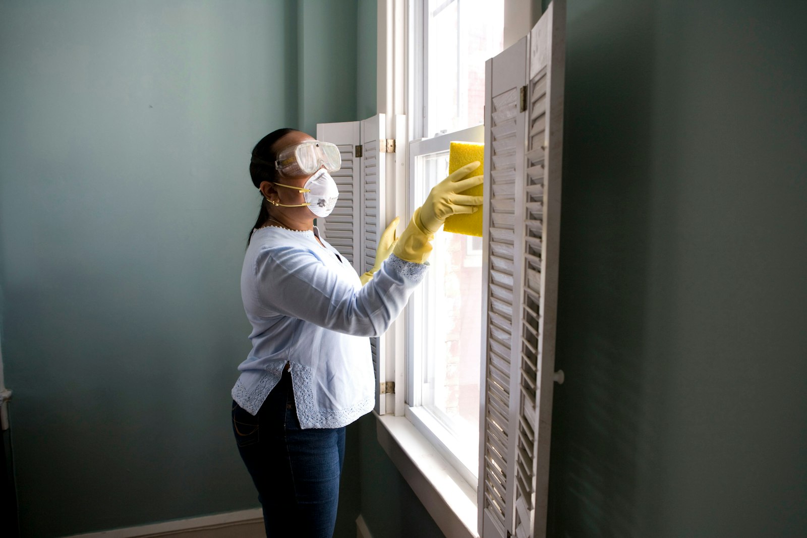 Mold Remediation service in La Mesa, CA