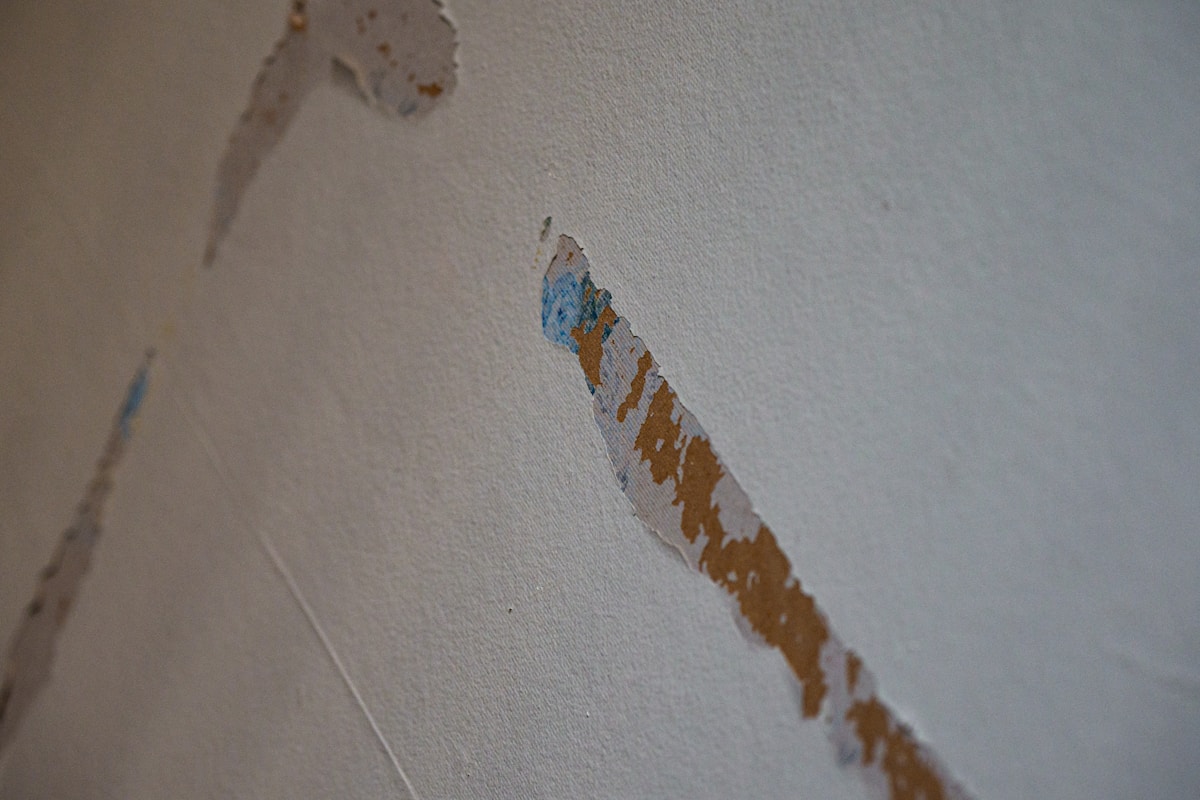 Water Extraction service in La Mesa, CA